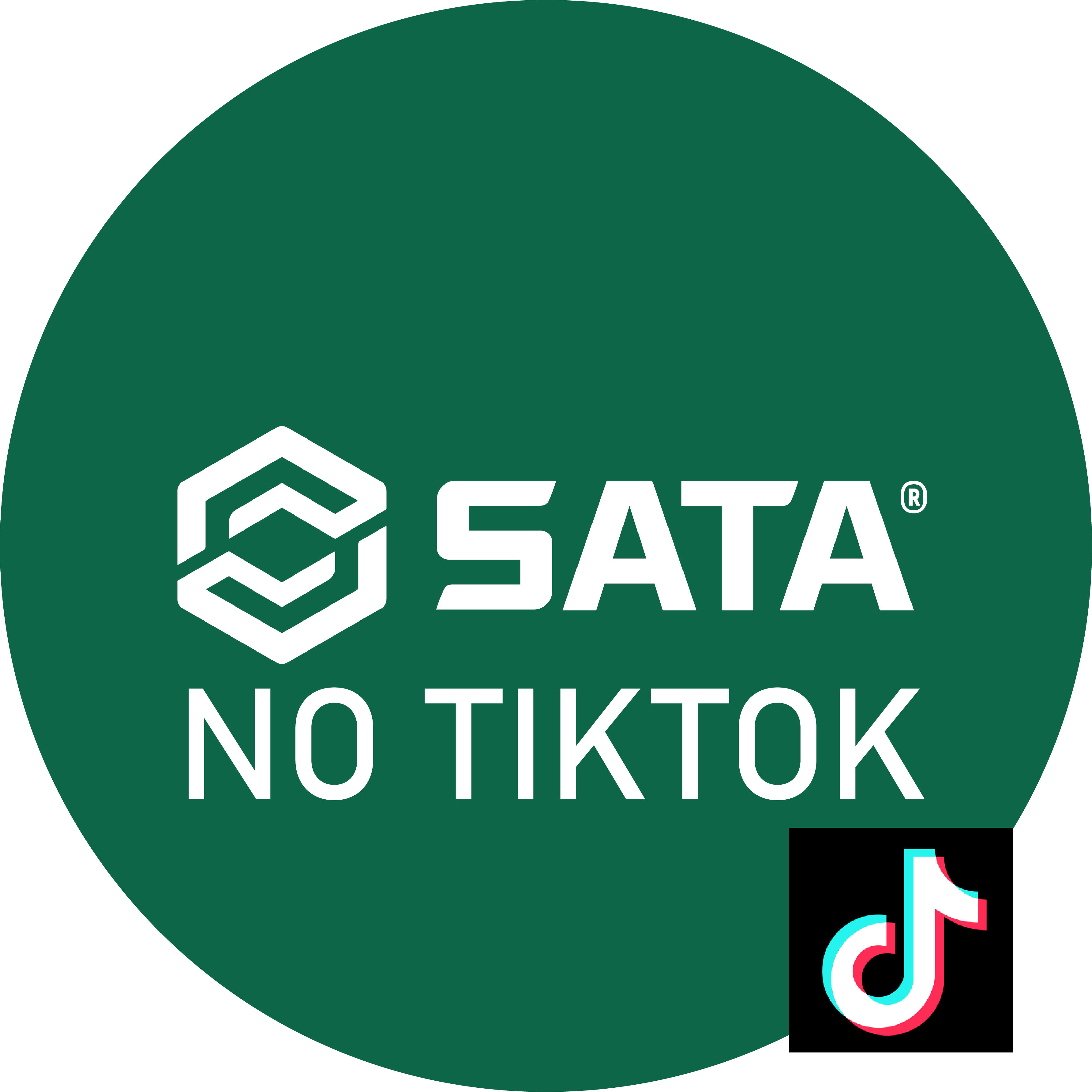 SATA NO TIKTOK